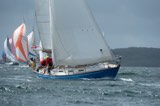scintilla of the sea 920y whyw23 sun 750 9578